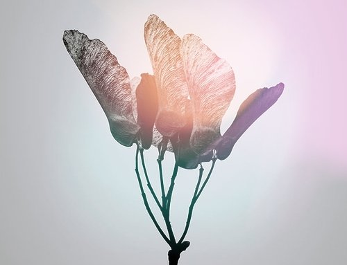 Cominciare una psicoterapia: istruzioni per l’uso